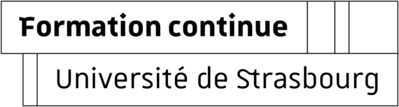 logo du SFC